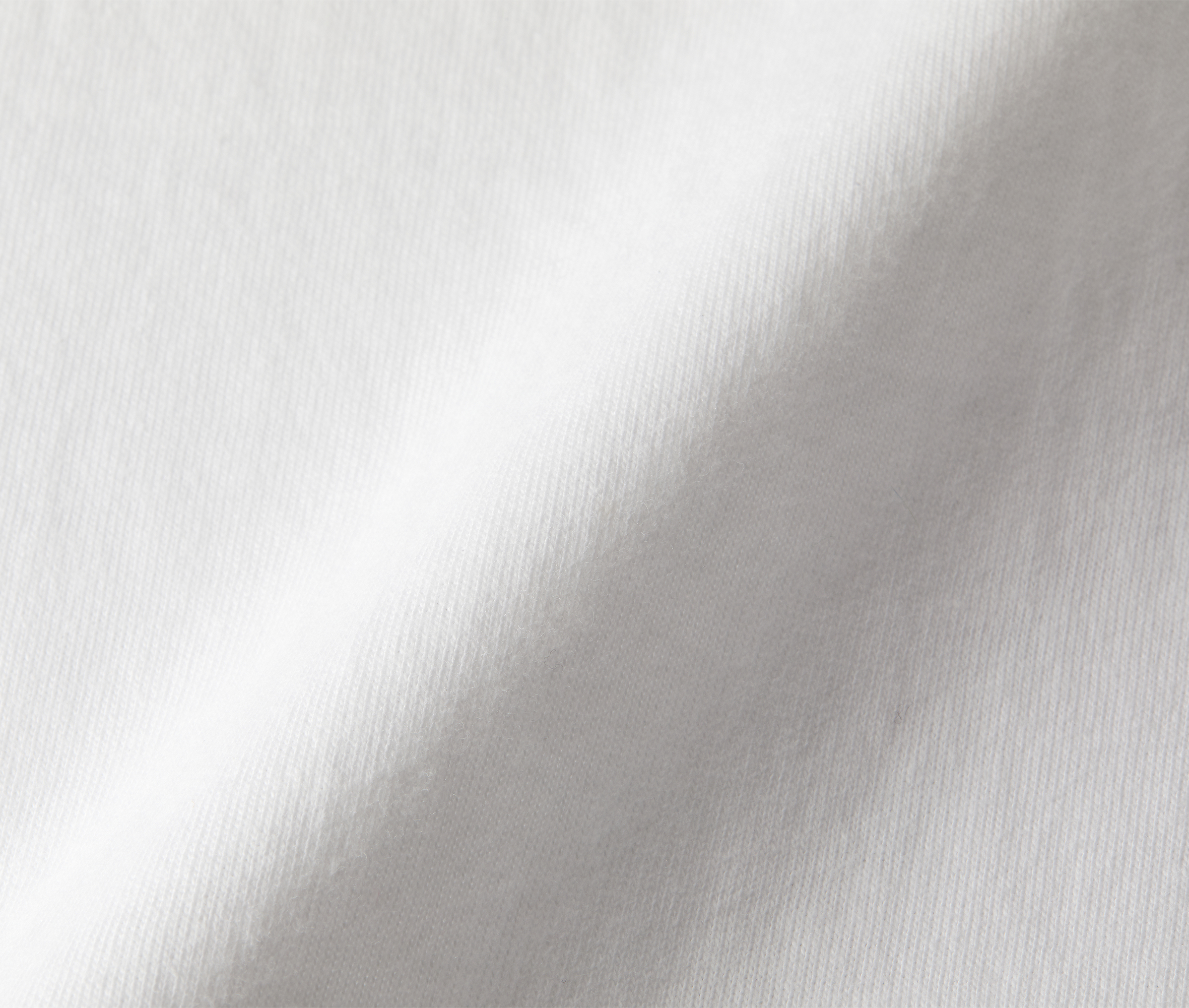 t-シャツ イメージ画像