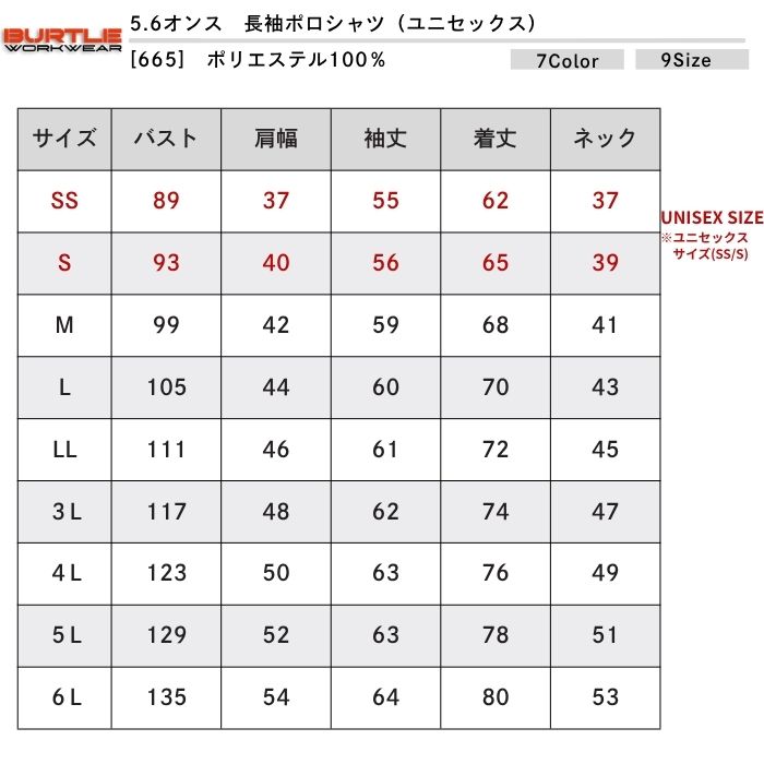 t-シャツ イメージ画像