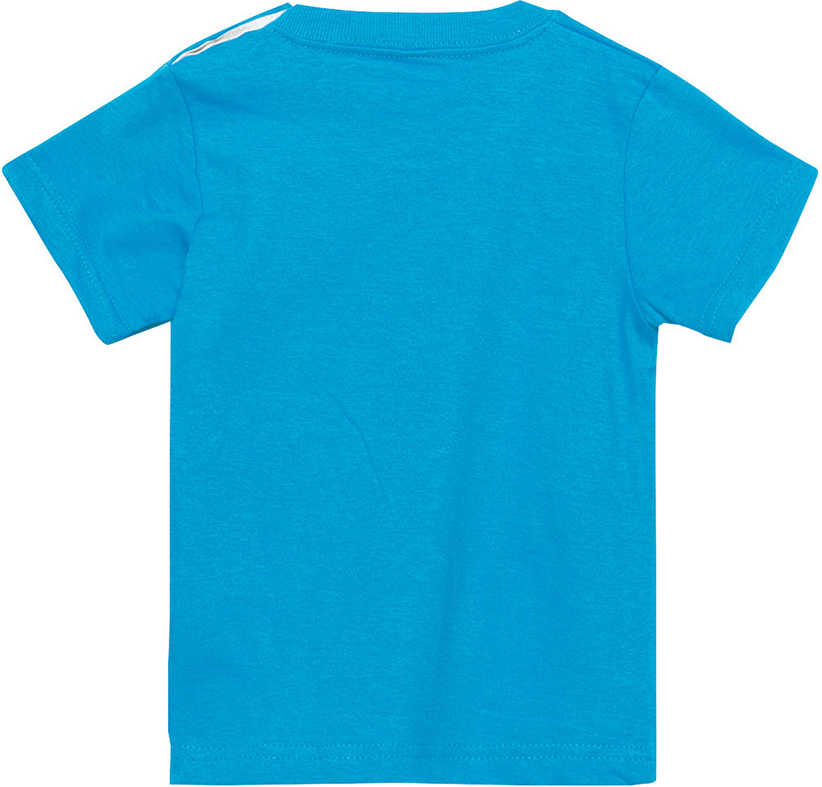 t-シャツ イメージ画像