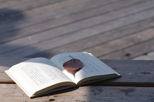 詩集・句集・歌集・文集